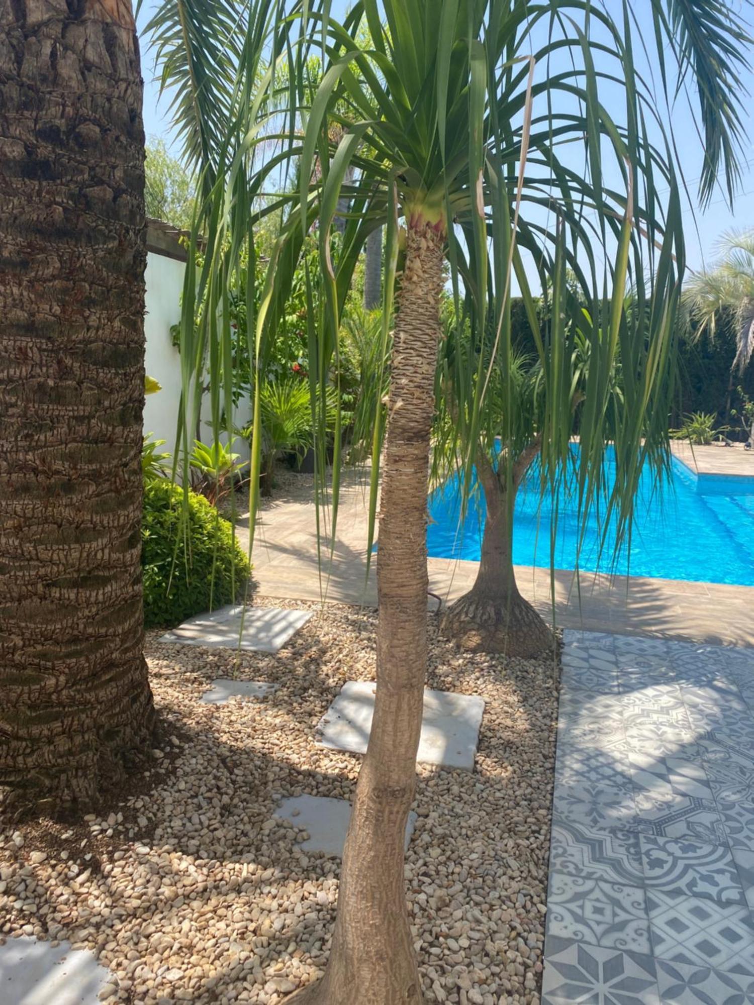 מוריירה Bohospanishvilla מראה חיצוני תמונה